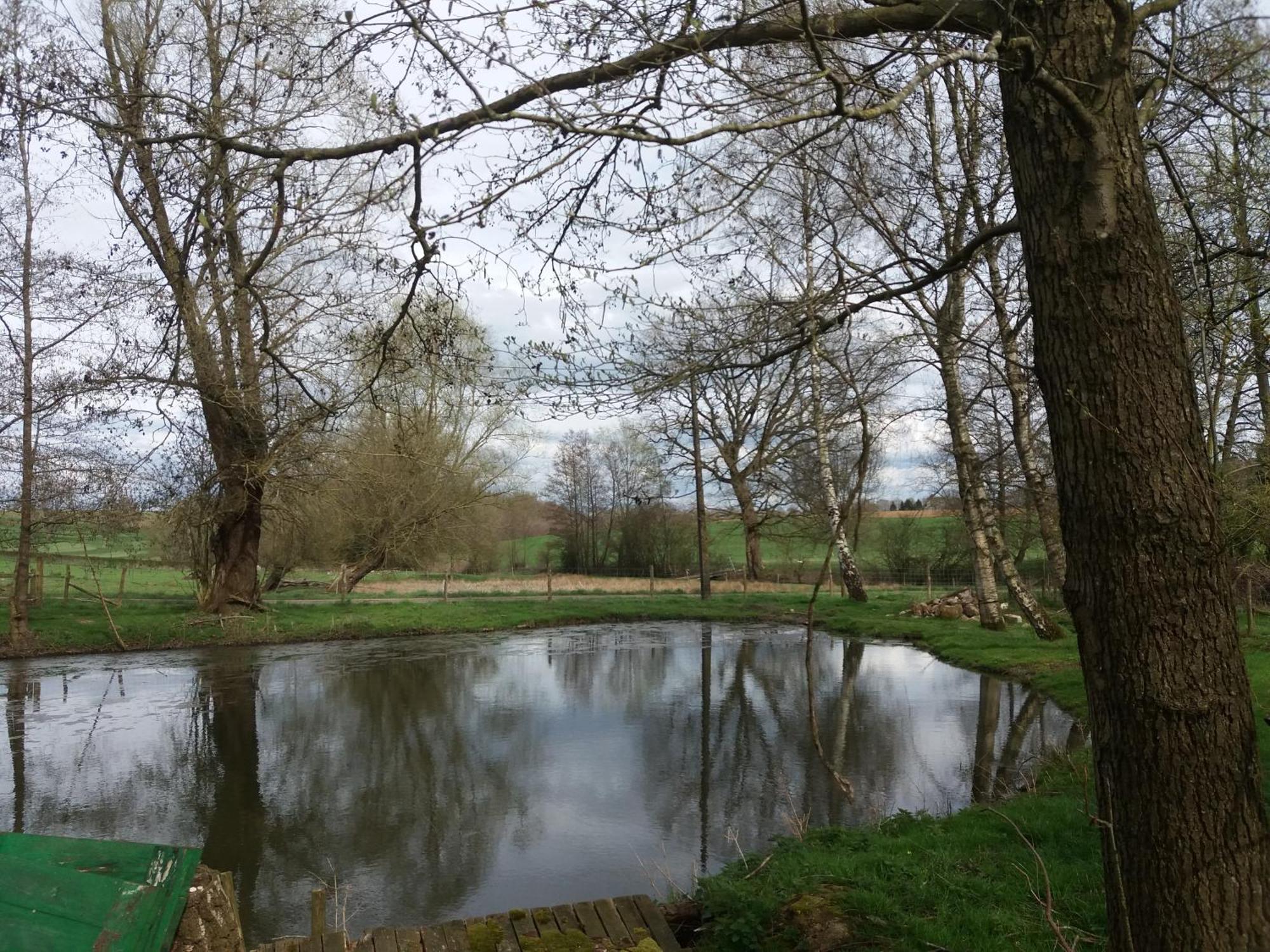Le Sentier Des Etangs *